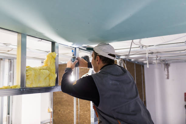 Best Insulation Installation Services in Zellwood, FL