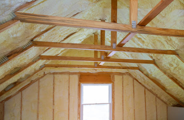 Best Insulation for Specific Applications in Zellwood, FL