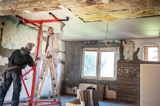 Best Residential Insulation in Zellwood, FL