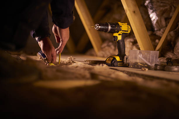 Best Insulation Maintenance and Repair in Zellwood, FL